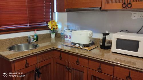 a kitchen counter with a sink and a microwave at Villa Dalam laut 530 in Pantai Cenang