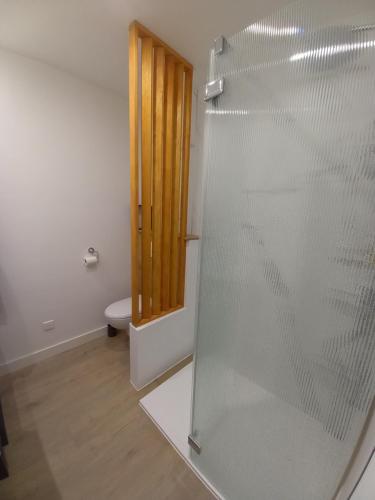 a bathroom with a glass shower with a toilet at Maison proche du centre ville in Pornic