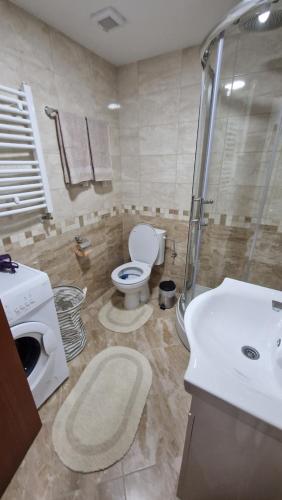 Stan na dan Apartman S في بوزاريفاتش: حمام مع مرحاض ودش ومغسلة