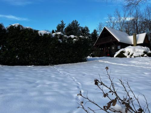 a snow covered yard in front of a house at Domek Pod Lasem in Trzciana