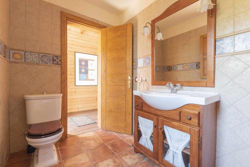 a bathroom with a sink and a toilet and a mirror at Villa Montaña Ilusión Parking wifi Bbk y Vistas in La Orotava