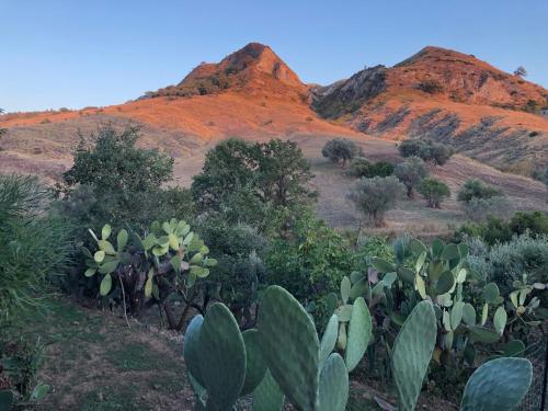 a view of a desert with mountains in the background at Il Castello degli Ulivi-Agriturismo in natura in Roccella Ionica