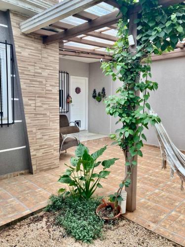 een woonkamer met een patio met een plant bij Casa centro Falls in Foz do Iguaçu