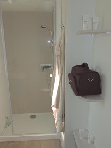 ein Bad mit einer Dusche und einer Tasche an der Tür in der Unterkunft Chez Loulou et Belette MH048 in Litteau