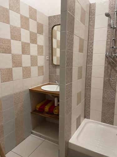 La salle de bains est pourvue d'un lavabo et d'une douche. dans l'établissement Case colorée, à Saint-Joseph