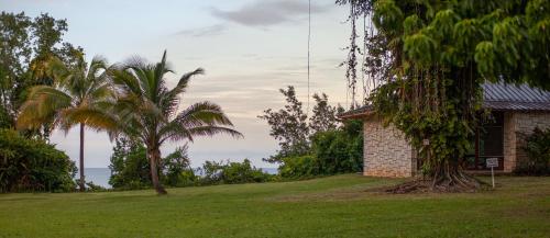een huis met twee palmbomen en een gebouw bij Frenchman's Cove Resort in Port Antonio