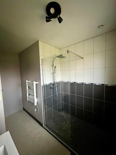 La salle de bains est pourvue d'une douche et d'un ventilateur. dans l'établissement Gîte 