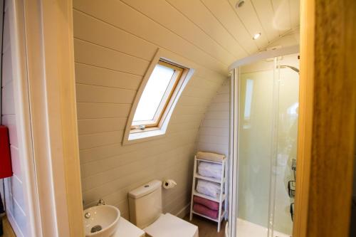 a bathroom with a toilet and a sink and a shower at Prospect House Farm in Scalby
