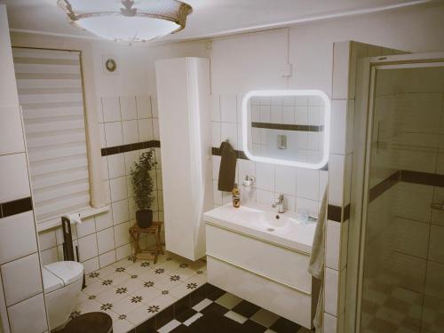 un piccolo bagno con lavandino e servizi igienici di Bed and Breakfast Rotterdam a Rotterdam