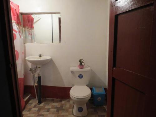 uma casa de banho com um WC e um lavatório em Holanda House em Moyogalpa