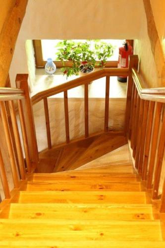 a wooden staircase with a table with a plant on it at Tammeveski Holiday House in Kobruvere