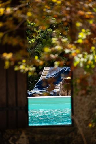 un chien est assis sur un banc dans un miroir dans l'établissement Domaine de Valloncourt, à Cheval-Blanc