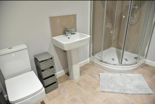 a bathroom with a toilet and a sink and a shower at St Edmunds House in Ipswich