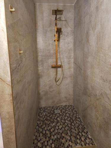a bathroom with a shower with a tiled floor at La Parenthèse - Votre Cocon au Centre d'Oyonnax in Oyonnax