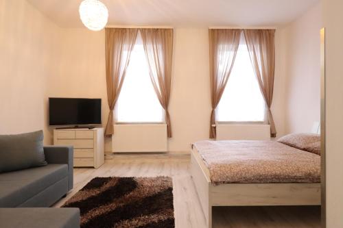 卡羅維發利的住宿－Apartmán Jabloňovka，一间卧室设有一张床、一台电视和两个窗户。