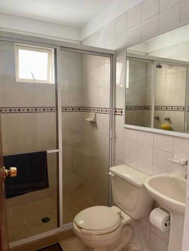 a bathroom with a shower and a toilet and a sink at Descansa en un espacio acogedor in Guadalajara