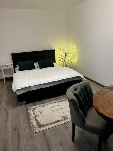 ein Schlafzimmer mit einem Bett, einem Stuhl und einem Tisch in der Unterkunft Cozy Home Studio in Petroşani