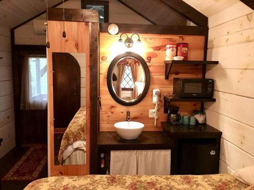 uma casa de banho com um lavatório e um espelho num quarto em Tiny Home Cottage Near the Smokies #1 Olga em Sevierville
