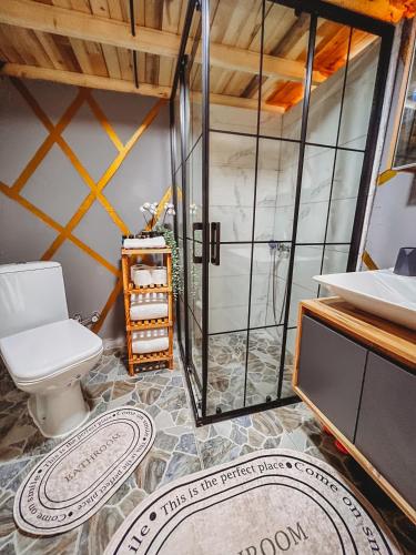 a bathroom with a toilet and a shower at Astral WORLD in Sapanca