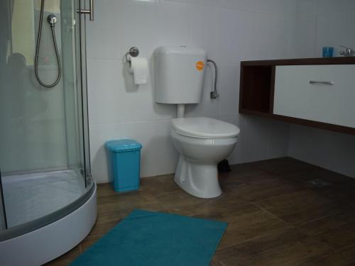 y baño con aseo, ducha y alfombra azul. en BrasovApart Republicii en Braşov