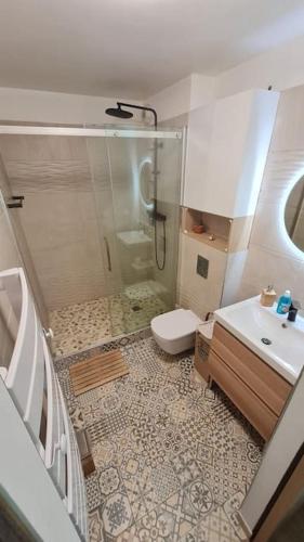 La salle de bains est pourvue d'une douche, de toilettes et d'un lavabo. dans l'établissement Appartement Cosy, à Colombes