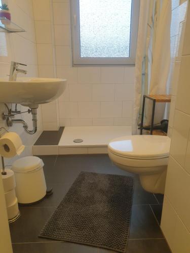 een badkamer met een wastafel, een toilet en een raam bij City Apartment in Gelsenkirchen