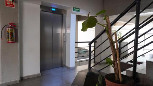 a hallway with a door and a potted plant at Depa Balcones cerca Estadio GNP, Palacio de los Deportes, Autódromo HR y Aeropuerto CDMX in Mexico City