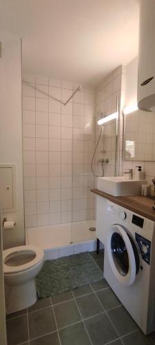 une salle de bain avec toilettes et lavabo et une machine à laver dans l'établissement Les Garriguettes, à Gréoux-les-Bains