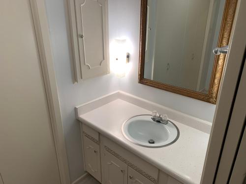 a bathroom with a sink and a mirror at Stay near Beautiful San Felipe Creek. in Del Rio