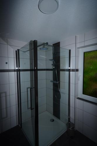 a bathroom with a shower and a television in it at Haus Jakob in Filzmoos