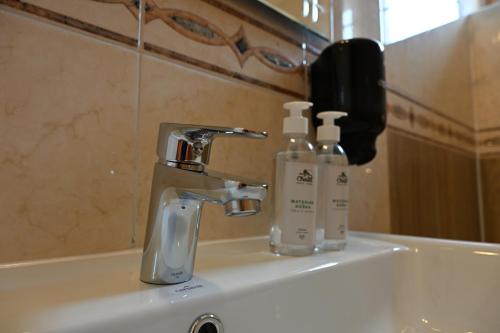 a bathroom sink with two soap bottles on it at Hotel Eufória in Nová Lesná
