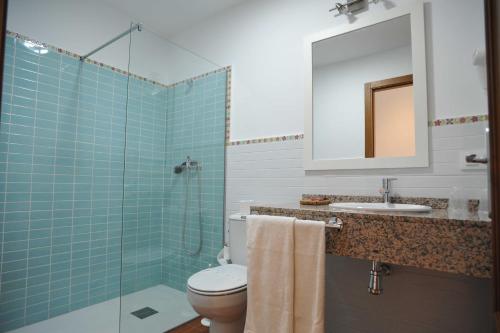 a bathroom with a toilet and a sink and a mirror at Hotel Rural Hosteria Fontivieja TR-CC-195 in Losar de la Vera