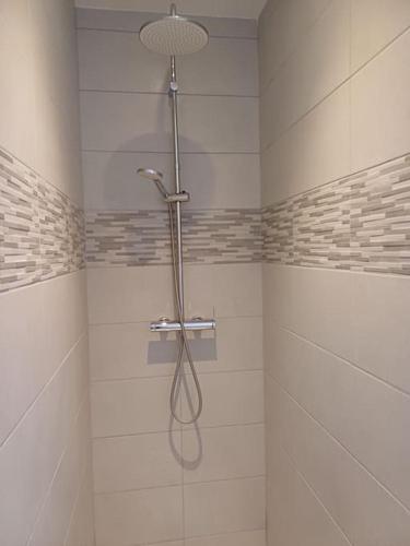 une douche avec pommeau de douche dans une salle de bain dans l'établissement LE CAMPALOU, à Saint-Barthélemy-le-Plain