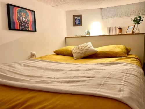 圖盧茲的住宿－Le Romi - Capitole Hypercentre - Appart Cosy，一张床上有两个枕头的房间