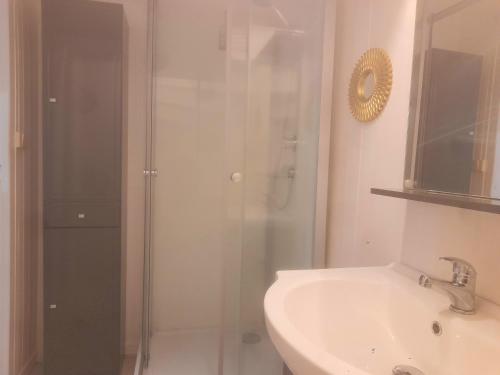 W łazience znajduje się prysznic i umywalka. w obiekcie Le Fjørd - Appartement confort, rez-de-chaussée, scandinave, parking gratuit w mieście Bourges