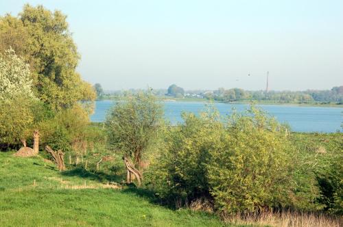 a field with trees and a lake in the background at Hotel Restaurant Oortjeshekken in Ooij