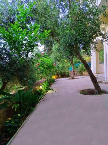 Great stay & beautiful trails