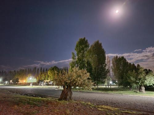 Fotografie z fotogalerie ubytování Tupungato entre viñas, valle de Uco v destinaci San José