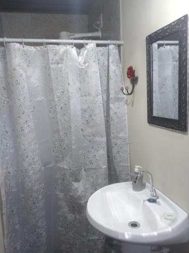 a bathroom with a sink and a shower curtain at Chalé da Flor in Visconde De Maua