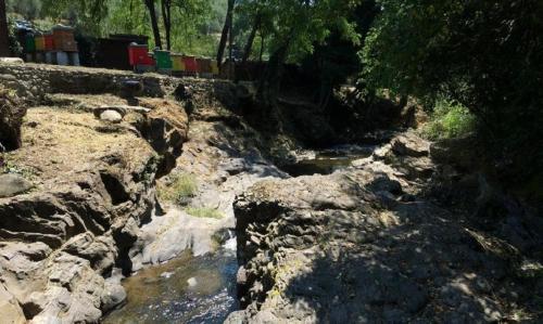 a river with rocks and trees in a field at Agriturismo Terrarossa in Pistoia
