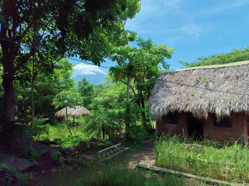 a house with a straw roof in a forest at Huellas Hostel in Santa Cruz