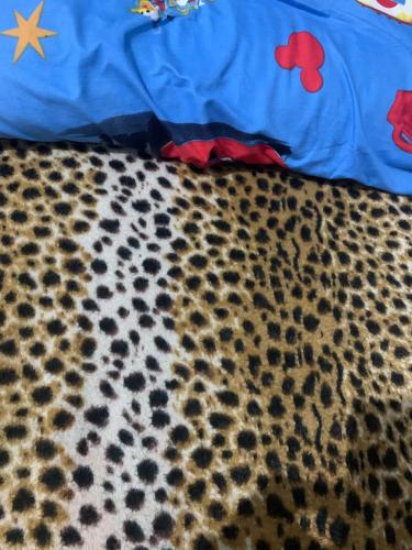 a room with a blanket and a leopard print floor at Shark in Shaṭṭ `Ezbet el-Laḥm