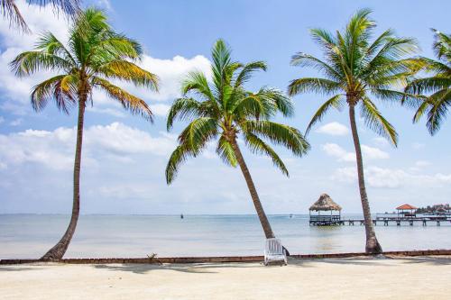 two palm trees on a beach with a pier at C4 - Villa McDonald in San Pedro