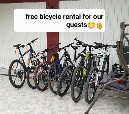 Jízda na kole v ubytování Zajček Apartma nebo okolí