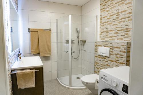 a bathroom with a shower and a toilet and a sink at Charmante und stilvolle Wohnung in Alfter