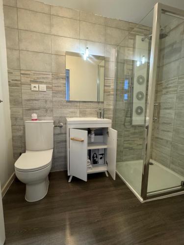 uma casa de banho com um WC, um chuveiro e um lavatório. em Eliya em Romilly-sur-Seine