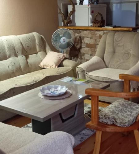 a living room with couches and a table and a fan at Household Ušćumlić - Oaza mira in Plužine