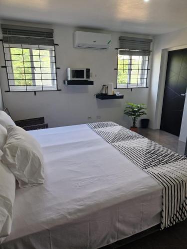 1 cama blanca grande en un dormitorio con 2 ventanas en Amharic, en Kingston