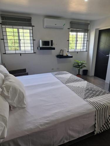 a large white bed in a bedroom with two windows at Amharic in Kingston