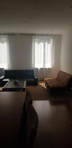 un salon avec un canapé et deux fenêtres dans l'établissement Centre ville le Puy-en-Velay au 1er étage, au Puy-en-Velay